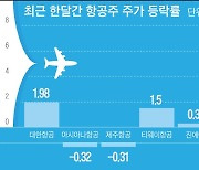 날개 꺾인 항공주.. '서머랠리'에 1%도 못 올라