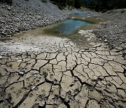 "마실 물도 없어 바닷물 끌어와" 기후 위기로 역대급 가뭄 앓는 유럽