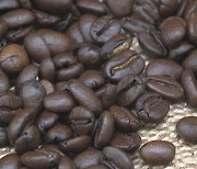 커피 생두 유통가격 하락..부가세 면제·할당관세 효과