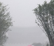 폭우 내리는 광화문광장