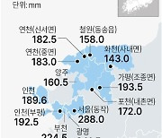 [그래픽] 수도권 누적 강수량(종합)