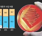 "대중 무역적자 장기화 가능성"..커지는 '중국 리스크'