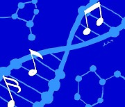 [메디칼럼] '이기적 유전자'보단 '생명의 음악'