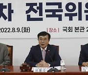 국민의힘 전국위, 주호영 비상대책위원장 인준 선포