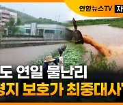 [자막뉴스] 북한도 연일 물난리.."농경지 보호가 최중대사"