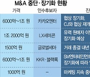 1년새 17조 빠진 M&A시장..활기 되찾을까 [시그널 INSIDE]