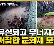 [자막뉴스] 400년 된 천연기념물도 부러졌다..기록적 폭우에 문화재 '신음'