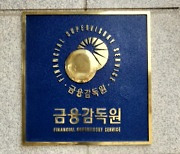금감원 "에디슨모터스 패스트트랙 검찰 이첩..불공정거래 엄정 대응"