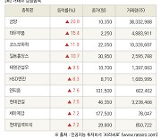 [fnRASSI]장마감, 거래소 상승 종목(금양 20.8% ↑)