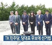 TK 민주당, 당대표 후보에 선거법 개정 촉구