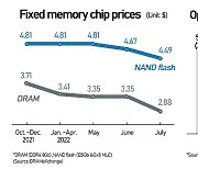 Skepticism grows for Korean memory majors Samsung Elec and SK hynix
