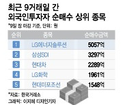 외국인, 시총 대형주 '싹쓸이'..9일 연속 '러브콜'에 2500선 돌파