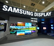 삼성·LG, QD-OLED·투명 OLED 등 차세대 디스플레이 기술 첫 선(종합)