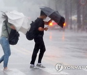 [내일날씨] 충청권 최대 300mm 폭우..서울도 20∼80mm