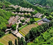 [PRNewswire]  Xinhua Silk Road: N.China's Lingqiu County takes organic