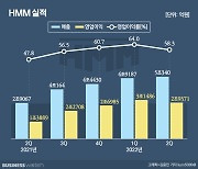 HMM, 현금성자산 11.3조 어디에 쓸까