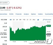 테슬라 3.89%-루시드 4.35%↑ 전기차주 일제 랠리(종합)