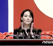 북한 김여정 "南에서 코로나19 유입..반인륜적 범죄" 비난