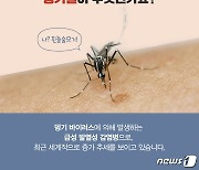 국립부산검역소, 베트남 다녀온 뎅기열 환자 첫 '조기발견'