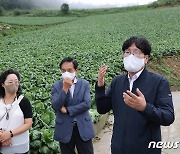 고랭지배추 재배지 방문한 조재호 농촌진흥청장