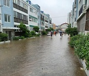 전북 군산 최대 250mm 폭우..도로·건물 침수 등 181건 피해