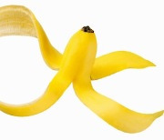 버려진 '바나나 껍질'의 놀라운 변신