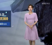 [날씨] 부산 내일 오전까지 5~40mm 비..낮 최고 32도