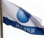 금감원 "증권사, 해외주식 중개사 복수로 둬야"