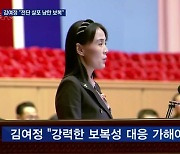 김여정 첫 공개연설 "김정은 심하게 앓아..전단 살포한 남한에 보복"