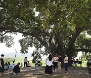 '우영우 팽나무'는 그나마 낫다, 관광객에 몸살 겪은 촬영지 [지구, 뭐래?]