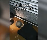 "조금만 버텨요" 반지하 갇힌 남성 구한 '신림동 영웅들'
