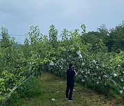 고성군, 농림지 동시 발생 돌발해충 발생 조사