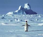 지난 25년간 남극 빙하 12조t 감소..기존 추정치의 2배