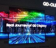 삼성·LG, "첨단 OLED 디스플레이로 '초격차' 승부수"