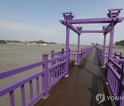 신안 시티투어버스 13일 운행..송정·목포역-퍼플섬 연계