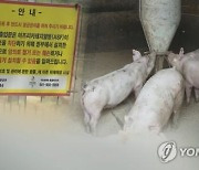 충북도 추석 대비 아프리카돼지열병 특별방역 대책 추진