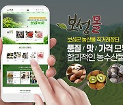 온라인 농특산 쇼핑몰 '보성몰' 인기 쑥쑥..매출 목표액 상향