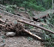 [집중호우] 매년 반복되는 침수·산사태 피해..뒷북행정 한몫