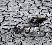 Hungary Drought