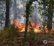 FRANCE WEATHER WILDFIRES