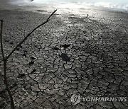 APTOPIX Hungary Drought