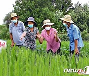 '논판 양어' 독려하는 북한.."실리 있는 농법"