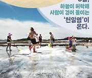 '천일염 산업 활성화 위한 '소금박람회' 개최 
