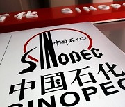 시노펙 등 중국 5개 기업, 뉴욕증시 자진 상장폐지