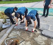 경찰 기동대·의경 700명 서울지역 수해 복구 지원 나서