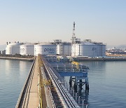Posco is merging its LNG companies