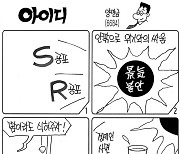 아이디 6684화