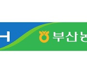 부산농협 검사국, 여름철 중대재해 예방 현장점검 강화