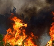 프랑스 남서부 산불, 여의도 면적 25배 태우며 사흘째 계속