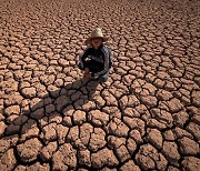 [한컷의울림] 기후변화의 저주.. 모로코 40년래 최악 가뭄